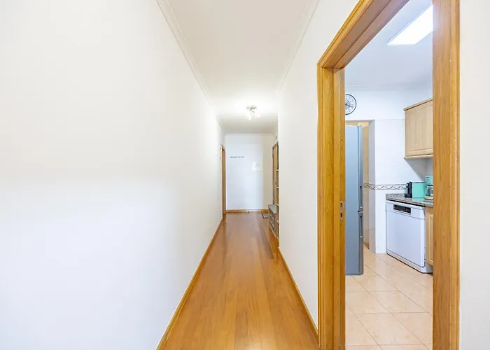 Ocean Life By Your Key Madeira 카니코